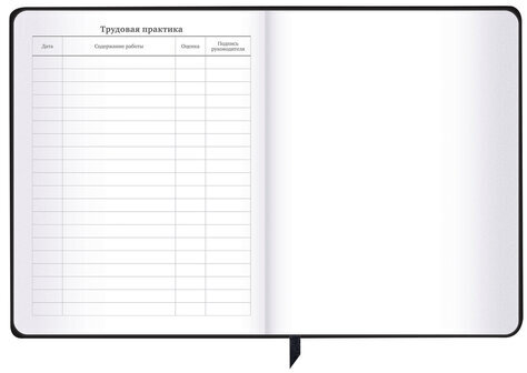 Дневник 1-11 класс 48 л., кожзам (твердая с поролоном), фольга, BRAUBERG HOLIDAY, "Free Spirit", 106568