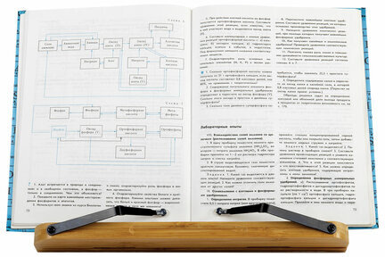 Подставка для книг и планшетов бамбуковая BRAUBERG, 28х20 см, регулируемый угол, 237895