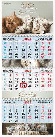 Календарь квартальный на 2023 г., 3 блока, 3 гребня, с бегунком, мелованная бумага, &quot;KITTENS&quot;, BRAUBERG, 114248