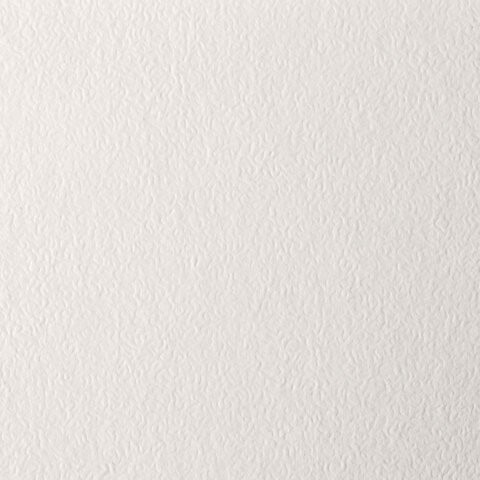 Бумага для пастели А4, 20 л., бумага слоновая кость ГОЗНАК 200 г/м2, тиснение Скорлупа, BRAUBERG ART, 126306