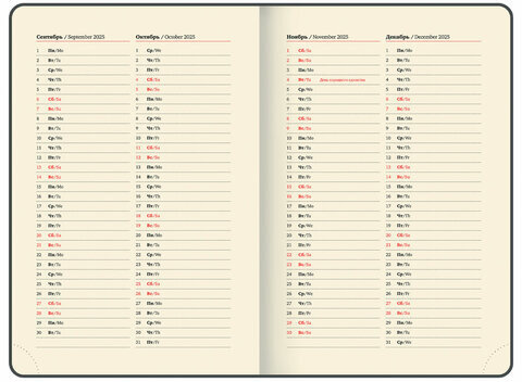 Ежедневник датированный 2025 А5 138x213 мм, BRAUBERG "Optimal", под кожу, резинка-фиксатор, держатель для ручки, коричневый, 115895