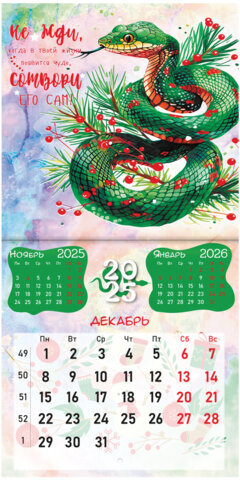 Календарь настенный перекидной на 2025 г., BRAUBERG, 12 листов, 22,5х22,5 см, МИНИ, "Змейки", 116176