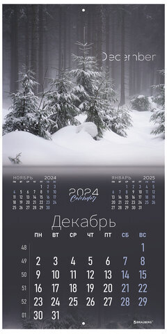 Календарь настенный перекидной на 2024 г., BRAUBERG, 12 листов, 29х29 см, "Магия природы", 115323