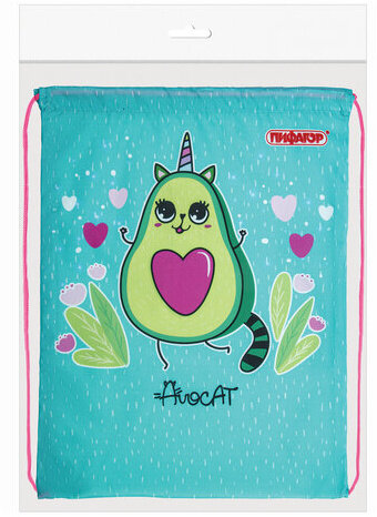 Мешок для обуви ПИФАГОР, 1 отделение, 40х32 см, "Avocat", 271597