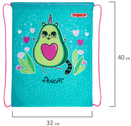 Мешок для обуви ПИФАГОР, 1 отделение, 40х32 см, "Avocat", 271597