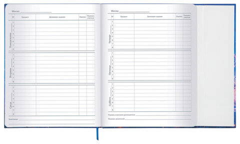 Дневник 1-11 класс 48 л., твердый, BRAUBERG, матовая ламинация, магнитный клапан, закладка-ляссе, с подсказом, "Magic", 107243