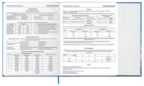 Дневник 1-11 класс 48 л., твердый, BRAUBERG, матовая ламинация, магнитный клапан, закладка-ляссе, с подсказом, "Magic", 107243