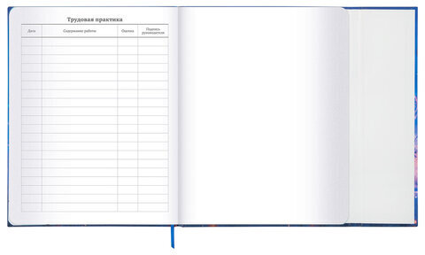Дневник 1-11 класс 48 л., твердый, BRAUBERG, матовая ламинация, магнитный клапан, закладка-ляссе, с подсказом, "Magic", 107243