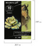Альбом для пастели, картон ЧЕРНЫЙ+ОЛИВКОВЫЙ 630 г/м2, 207x297 мм, 5+5 листов, BRAUBERG ART, 105923