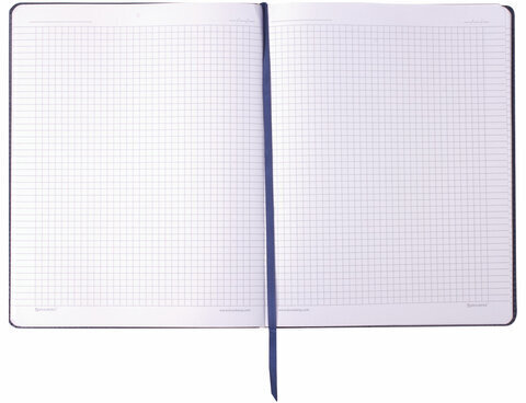 Тетрадь БОЛЬШОЙ ФОРМАТ (200x252 мм) В5, BRAUBERG "Metropolis Extra", под кожу, клетка, 80 л., синий, 111049