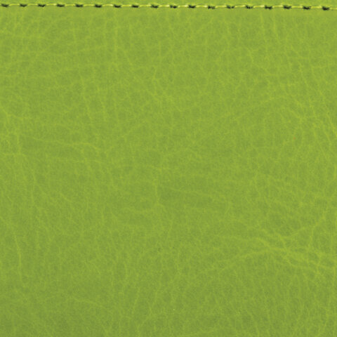 Ежедневник недатированный МАЛЫЙ ФОРМАТ 100х150 мм А6 BRAUBERG "Rainbow" под кожу, 136 л., зеленый, 111689