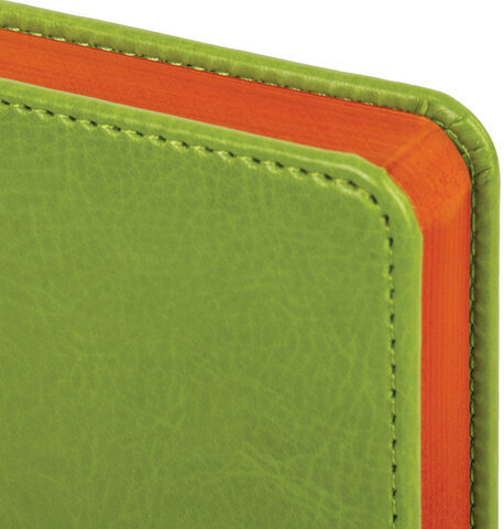 Ежедневник недатированный МАЛЫЙ ФОРМАТ 100х150 мм А6 BRAUBERG "Rainbow" под кожу, 136 л., зеленый, 111689