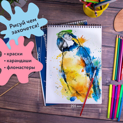 Альбомы для рисования А4 40 л., КОМПЛЕКТ 2 шт., гребень, обложка картон, BRAUBERG, 205х290 мм, "Природа" (2 вида), 880031