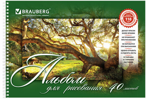 Альбомы для рисования А4 40 л., КОМПЛЕКТ 2 шт., гребень, обложка картон, BRAUBERG, 205х290 мм, "Природа" (2 вида), 880031