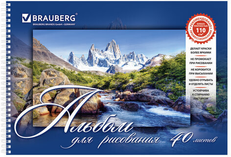 Альбомы для рисования А4 40 л., КОМПЛЕКТ 2 шт., гребень, обложка картон, BRAUBERG, 205х290 мм, "Природа" (2 вида), 880031