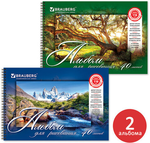 Альбомы для рисования А4 40 л., КОМПЛЕКТ 2 шт., гребень, обложка картон, BRAUBERG, 205х290 мм, "Природа" (2 вида), 880031
