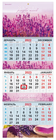 Календарь квартальный на 2023 г., 3 блока, 3 гребня, с бегунком, мелованная бумага, "NATURE", BRAUBERG, 114249