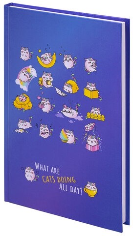 Блокнот А5 (134х206 мм), 80 л., твёрдый, клетка, BRAUBERG KIDS, &quot;Радужные котики&quot;, 114417