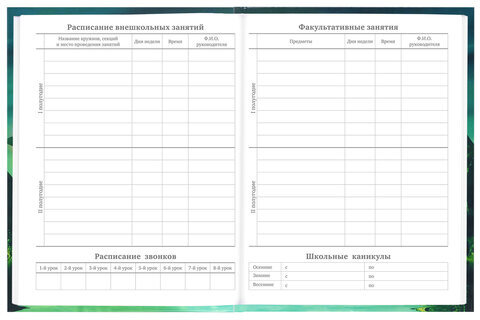 Дневник 5-11 класс 48 л., твердый, BRAUBERG, глянцевая ламинация, с подсказом, "Мир Будущего", 106627