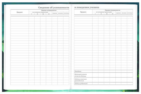 Дневник 5-11 класс 48 л., твердый, BRAUBERG, глянцевая ламинация, с подсказом, "Мир Будущего", 106627