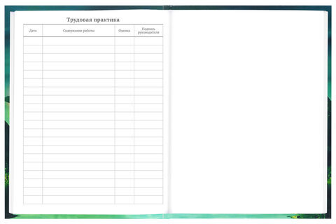 Дневник 5-11 класс 48 л., твердый, BRAUBERG, глянцевая ламинация, с подсказом, "Мир Будущего", 106627