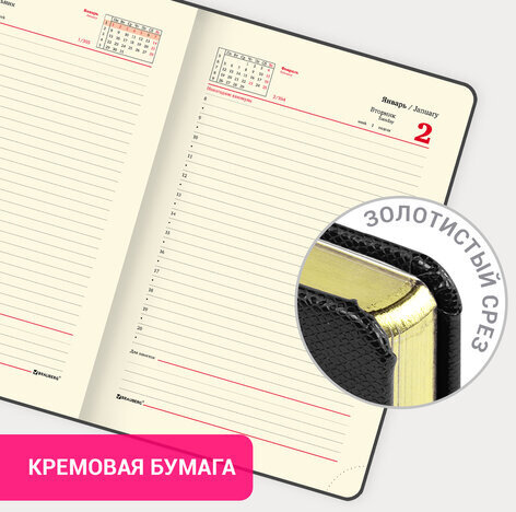 Ежедневник датированный 2024 А5 138x213 мм BRAUBERG "Iguana", под кожу, черный, 114848