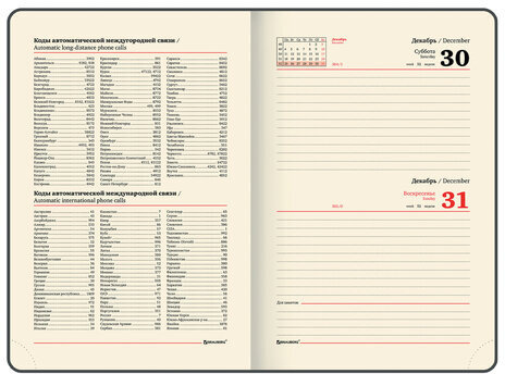 Ежедневник датированный 2024 А5 138x213 мм BRAUBERG "Iguana", под кожу, черный, 114848