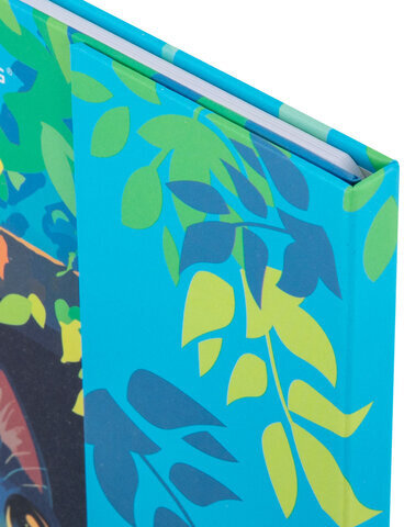 Дневник 1-11 класс 48 л., твердый, BRAUBERG, матовая ламинация, магнитный клапан, закладка-ляссе, с подсказом, "Котик", 107244