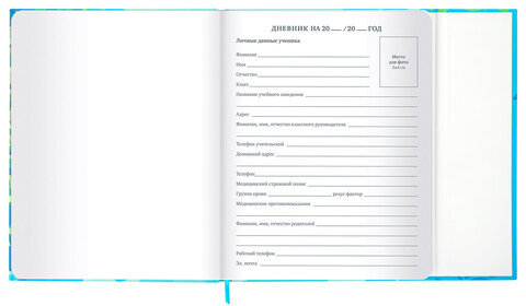 Дневник 1-11 класс 48 л., твердый, BRAUBERG, матовая ламинация, магнитный клапан, закладка-ляссе, с подсказом, "Котик", 107244