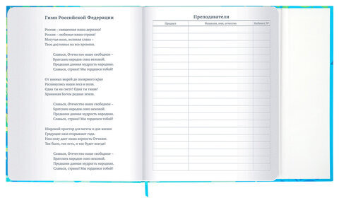 Дневник 1-11 класс 48 л., твердый, BRAUBERG, матовая ламинация, магнитный клапан, закладка-ляссе, с подсказом, "Котик", 107244