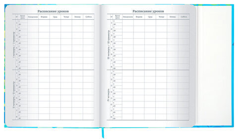 Дневник 1-11 класс 48 л., твердый, BRAUBERG, матовая ламинация, магнитный клапан, закладка-ляссе, с подсказом, "Котик", 107244