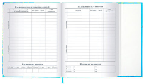 Дневник 1-11 класс 48 л., твердый, BRAUBERG, матовая ламинация, магнитный клапан, закладка-ляссе, с подсказом, "Котик", 107244