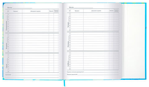 Дневник 1-11 класс 48 л., твердый, BRAUBERG, матовая ламинация, магнитный клапан, закладка-ляссе, с подсказом, "Котик", 107244