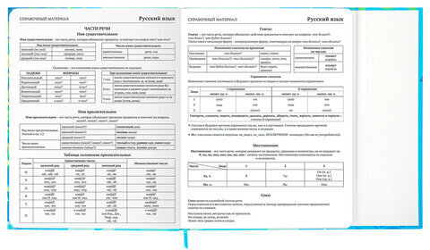 Дневник 1-11 класс 48 л., твердый, BRAUBERG, матовая ламинация, магнитный клапан, закладка-ляссе, с подсказом, "Котик", 107244