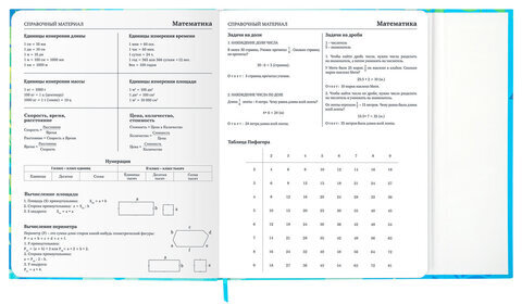 Дневник 1-11 класс 48 л., твердый, BRAUBERG, матовая ламинация, магнитный клапан, закладка-ляссе, с подсказом, "Котик", 107244