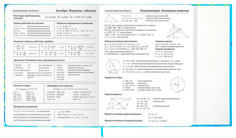 Дневник 1-11 класс 48 л., твердый, BRAUBERG, матовая ламинация, магнитный клапан, закладка-ляссе, с подсказом, "Котик", 107244
