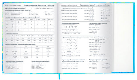 Дневник 1-11 класс 48 л., твердый, BRAUBERG, матовая ламинация, магнитный клапан, закладка-ляссе, с подсказом, "Котик", 107244