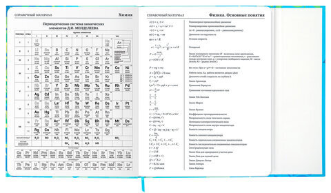 Дневник 1-11 класс 48 л., твердый, BRAUBERG, матовая ламинация, магнитный клапан, закладка-ляссе, с подсказом, "Котик", 107244
