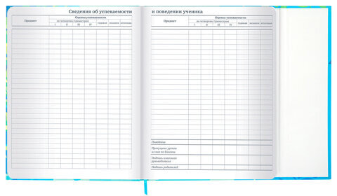 Дневник 1-11 класс 48 л., твердый, BRAUBERG, матовая ламинация, магнитный клапан, закладка-ляссе, с подсказом, "Котик", 107244