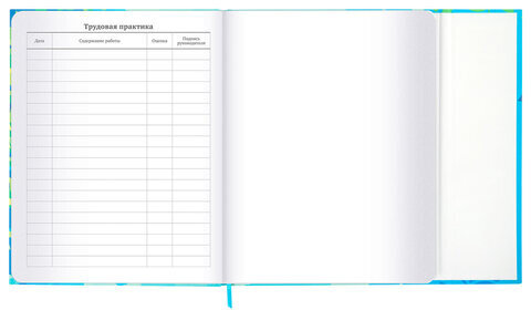 Дневник 1-11 класс 48 л., твердый, BRAUBERG, матовая ламинация, магнитный клапан, закладка-ляссе, с подсказом, "Котик", 107244