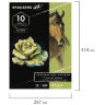Альбом для пастели, картон ЧЕРНЫЙ+ОЛИВКОВЫЙ 630 г/м2, 297x414 мм, 5+5 листов, BRAUBERG ART, 105924