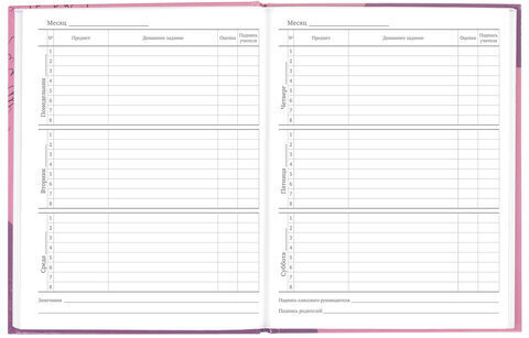 Дневник 5-11 класс 48 л., твердый, BRAUBERG, глянцевая ламинация, с подсказом, "Сладкая Жизнь", 106400