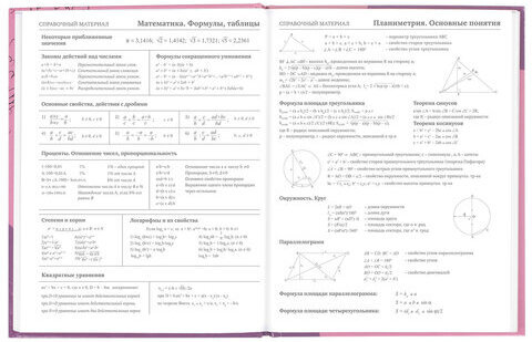 Дневник 5-11 класс 48 л., твердый, BRAUBERG, глянцевая ламинация, с подсказом, "Сладкая Жизнь", 106400
