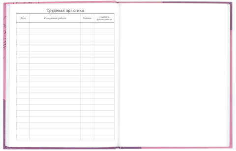 Дневник 5-11 класс 48 л., твердый, BRAUBERG, глянцевая ламинация, с подсказом, "Сладкая Жизнь", 106400