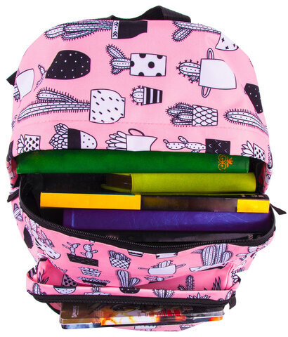 Рюкзак BRAUBERG, универсальный, сити-формат, Кактусы, 20 литров, 41х32х14 см, 228859