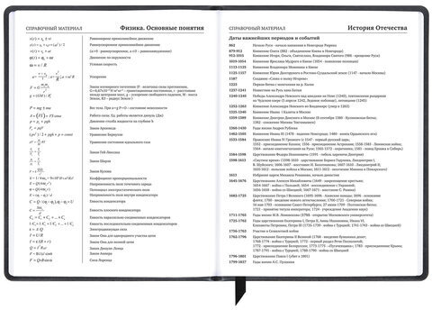 Дневник 1-11 класс 48 л., кожзам (твердая), печать, резинка, конверт, BRAUBERG, "Аниме", 106578