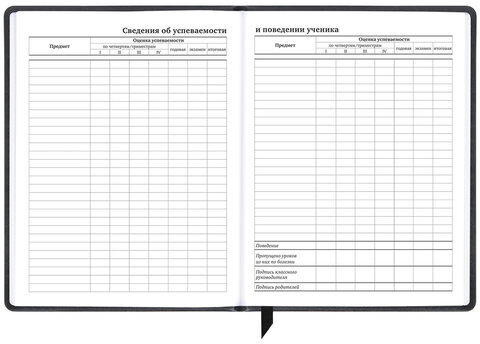 Дневник 1-11 класс 48 л., кожзам (твердая), печать, резинка, конверт, BRAUBERG, "Аниме", 106578