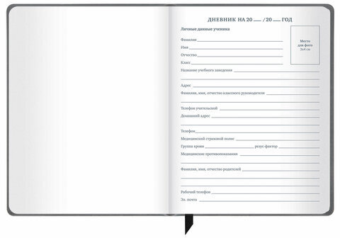 Дневник 1-11 класс 48 л., кожзам (твердая), печать, резинка, конверт, BRAUBERG, "Аниме", 106578