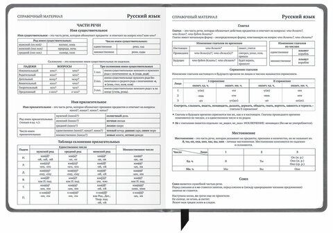 Дневник 1-11 класс 48 л., кожзам (твердая), печать, резинка, конверт, BRAUBERG, "Аниме", 106578