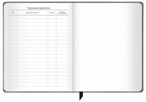 Дневник 1-11 класс 48 л., кожзам (твердая), печать, резинка, конверт, BRAUBERG, "Аниме", 106578